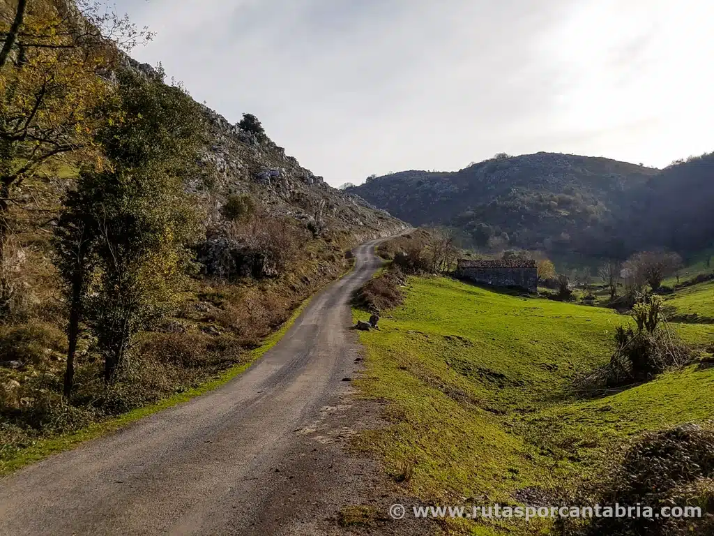 Rutas bici carretera picos de online europa